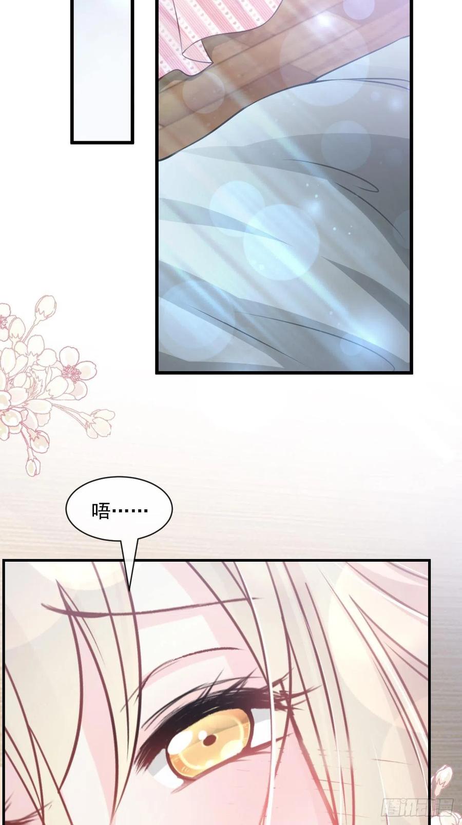 《天下第一宠》177 再次嫁给我 第18页