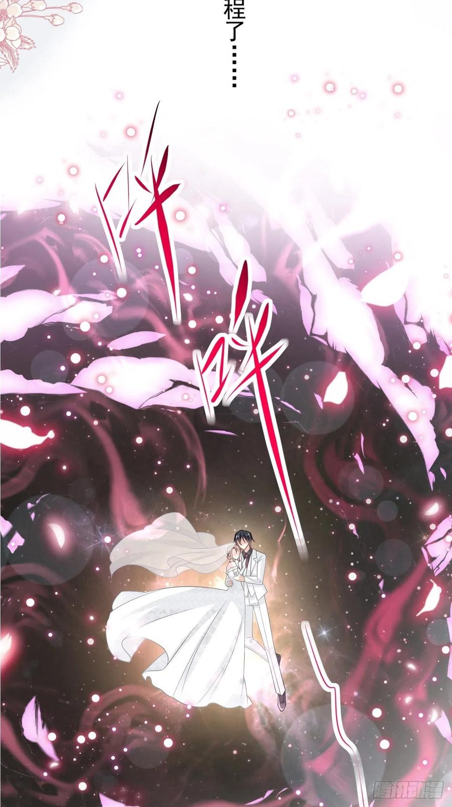 《天下第一宠》178 回到箐国 第28页