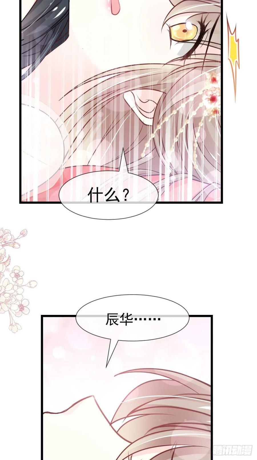 《天下第一宠》182 我舍不得你 第15页