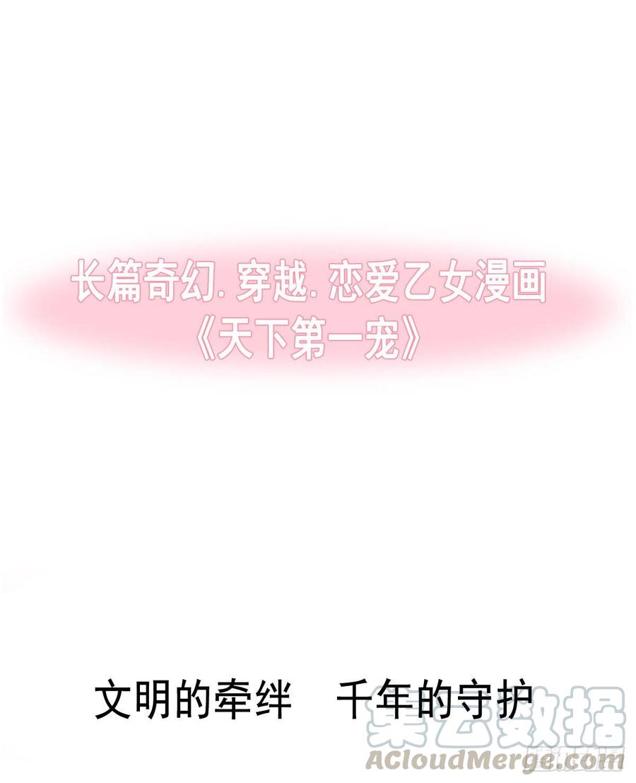 《天下第一宠》1 序章 第29页