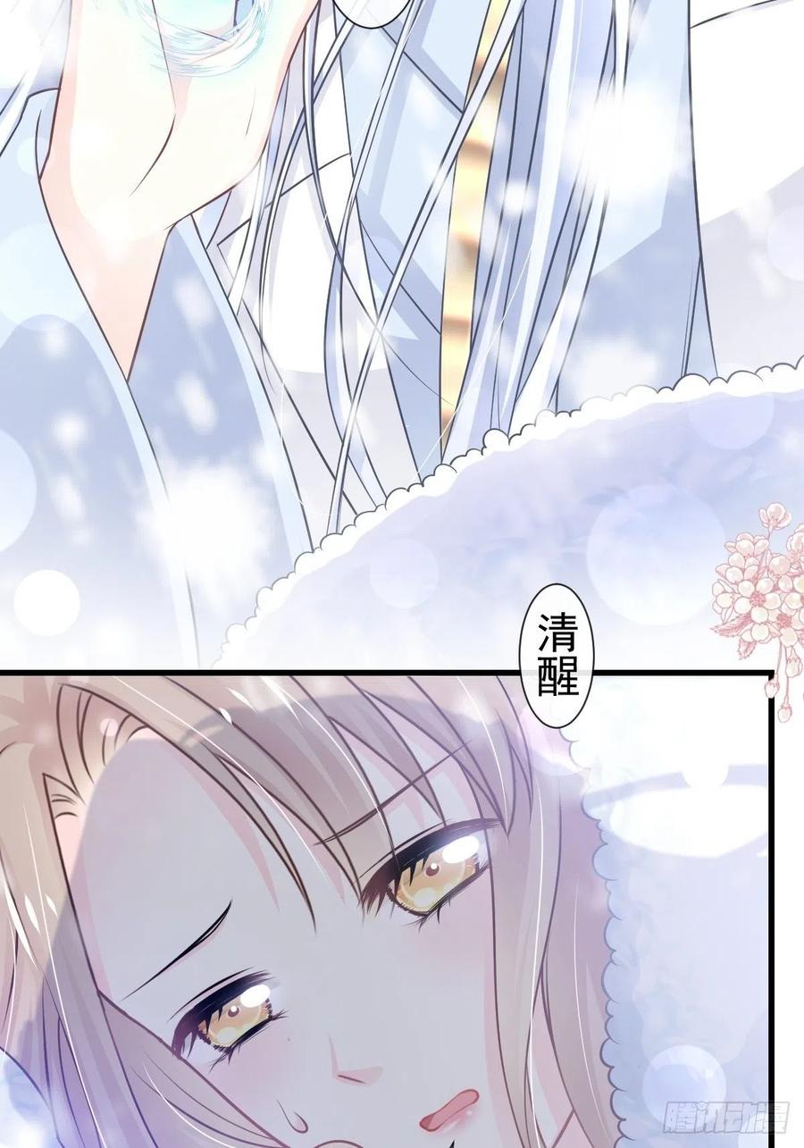 《天下第一宠》186 雪妖突袭 第31页
