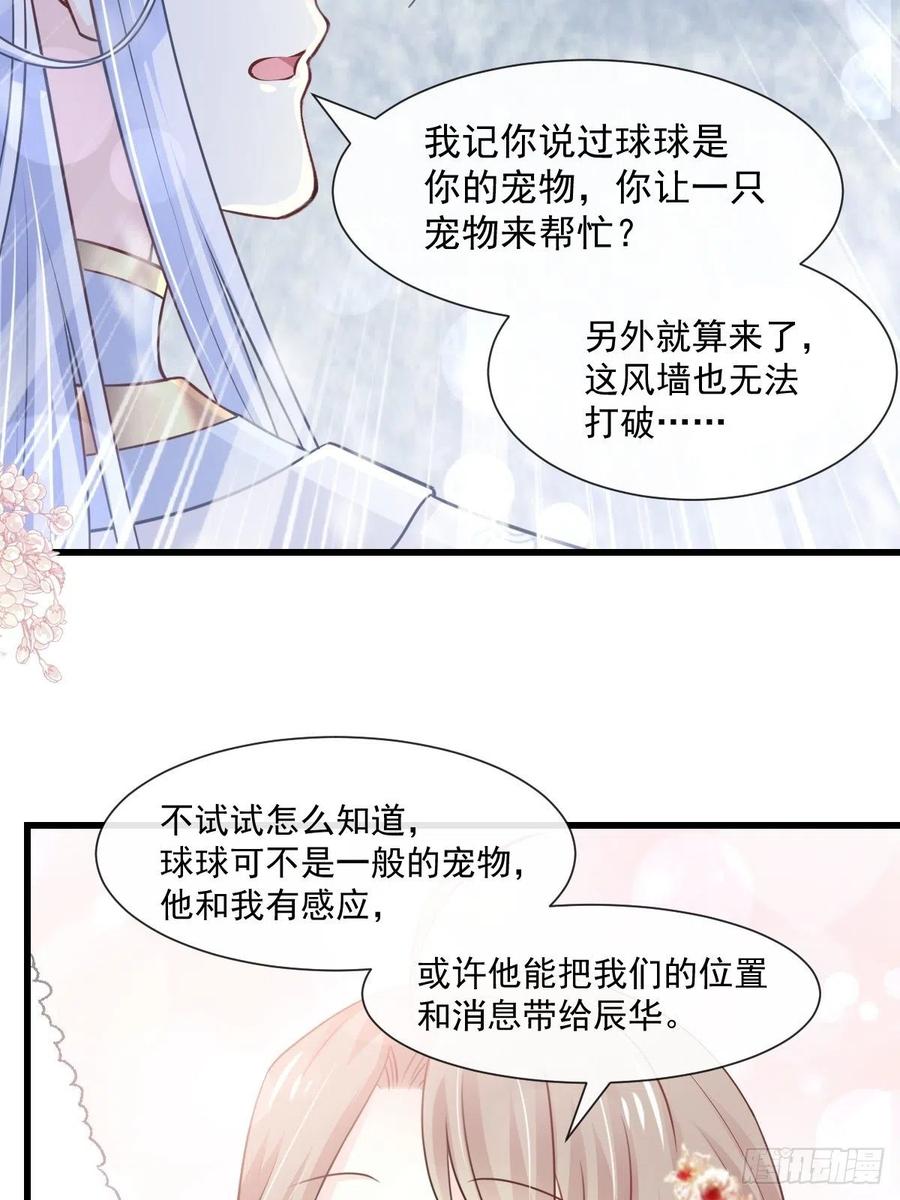 《天下第一宠》188 熟悉的感觉 第26页