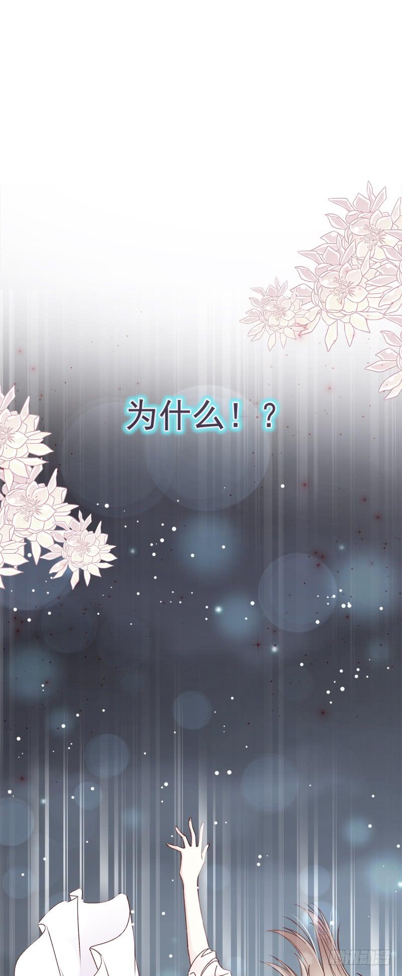 《天下第一宠》23 又穿越了 第4页