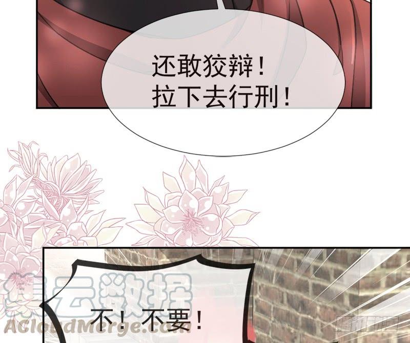 《天下第一宠》36 晧岳神女降人间 第41页