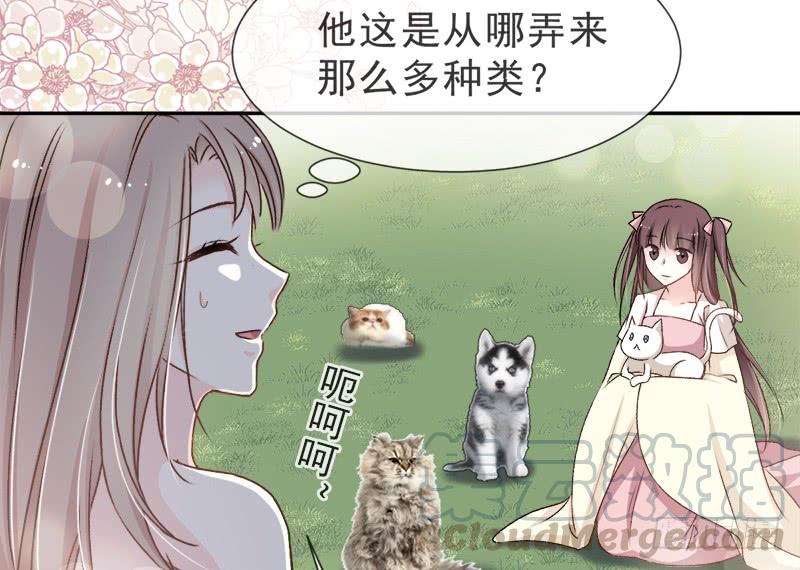 《天下第一宠》五一甜腻番外（下） 第41页