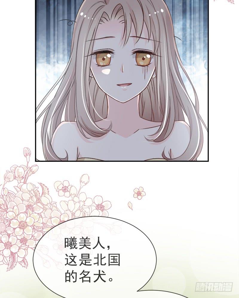 《天下第一宠》五一甜腻番外（下） 第38页