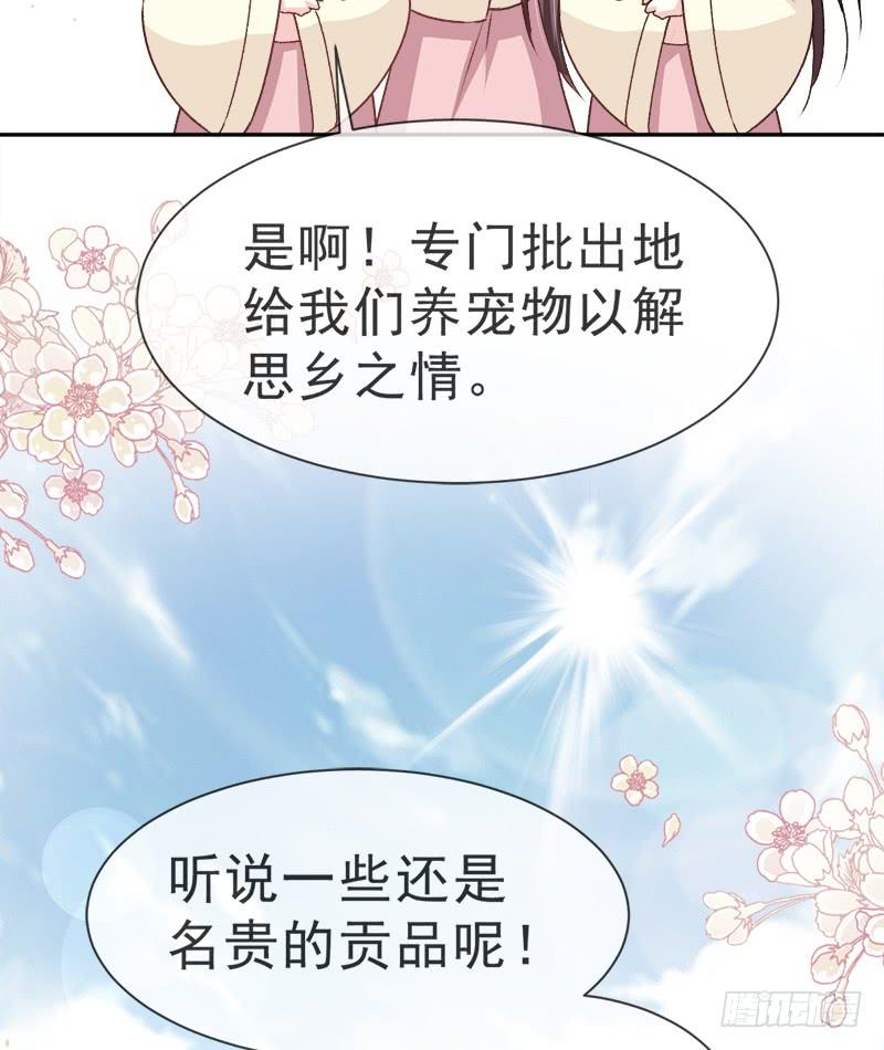 《天下第一宠》五一甜腻番外（下） 第44页