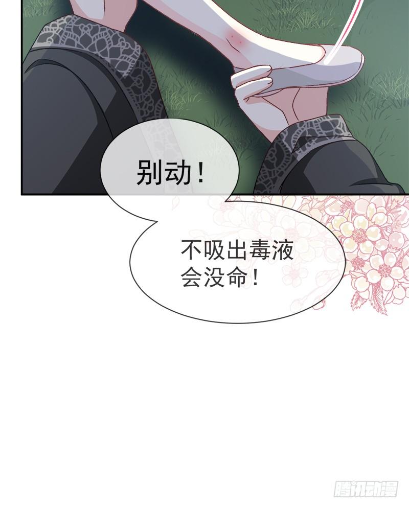 《天下第一宠》41 你的毒我来吸 第8页