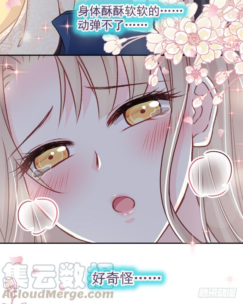 《天下第一宠》44 为你落泪 第51页