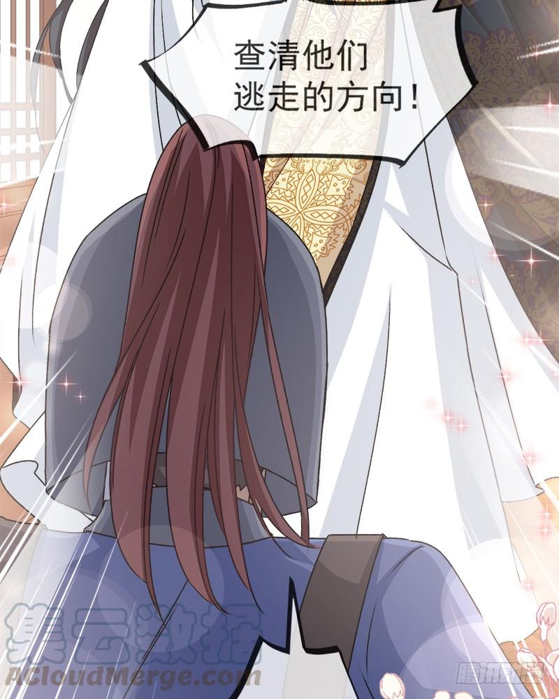 《天下第一宠》47 神女被劫 第31页
