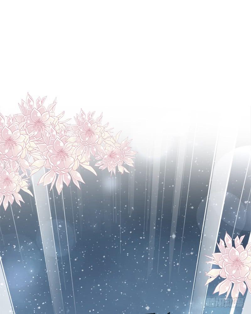 《天下第一宠》47 神女被劫 第35页