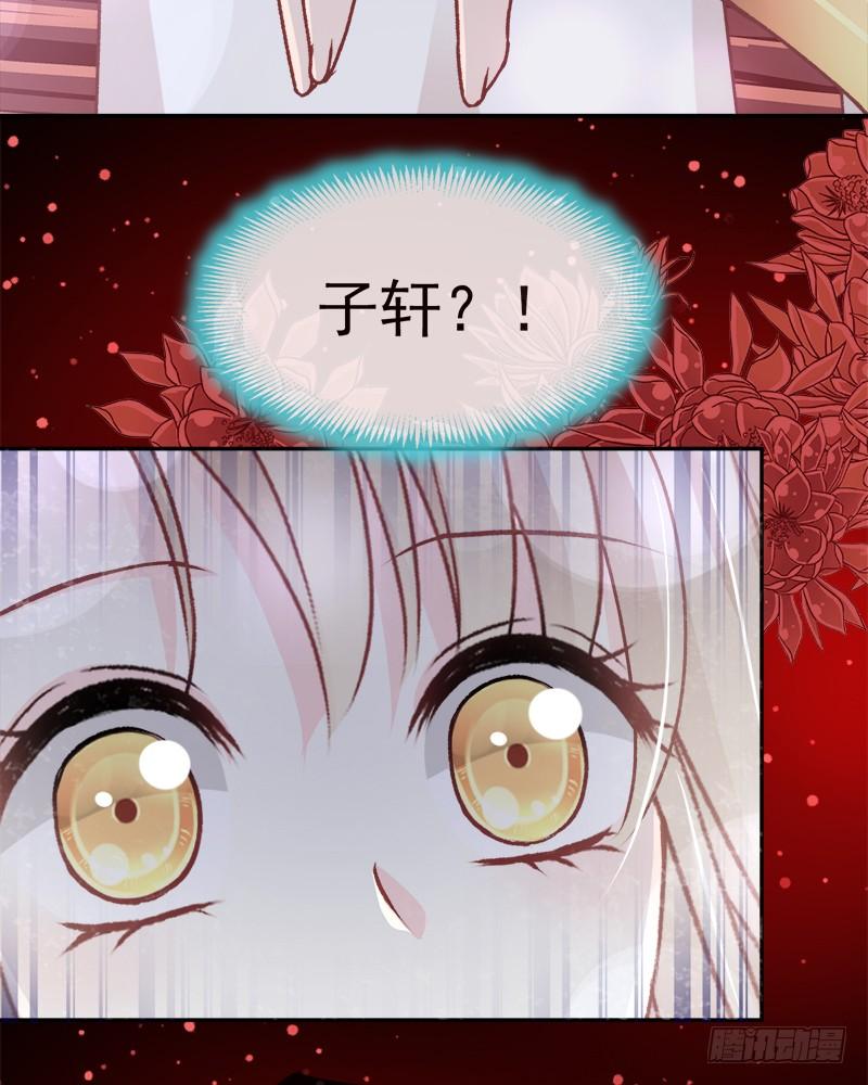 《天下第一宠》48 他不是子轩 第33页