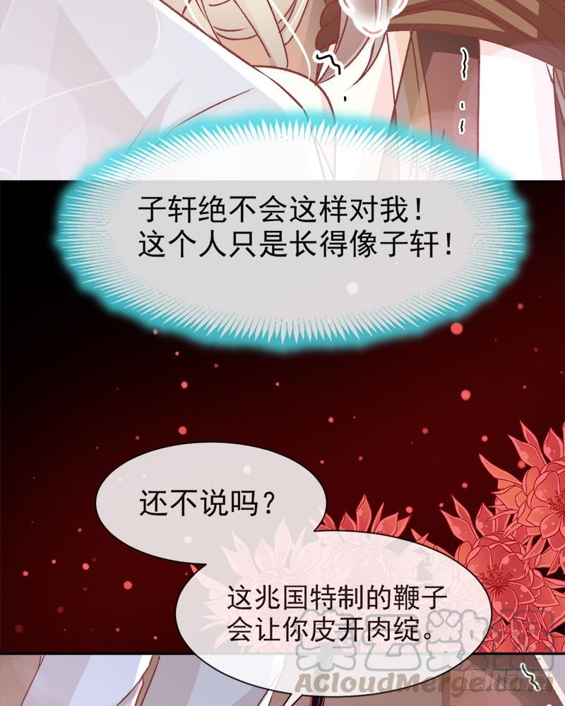 《天下第一宠》48 他不是子轩 第41页