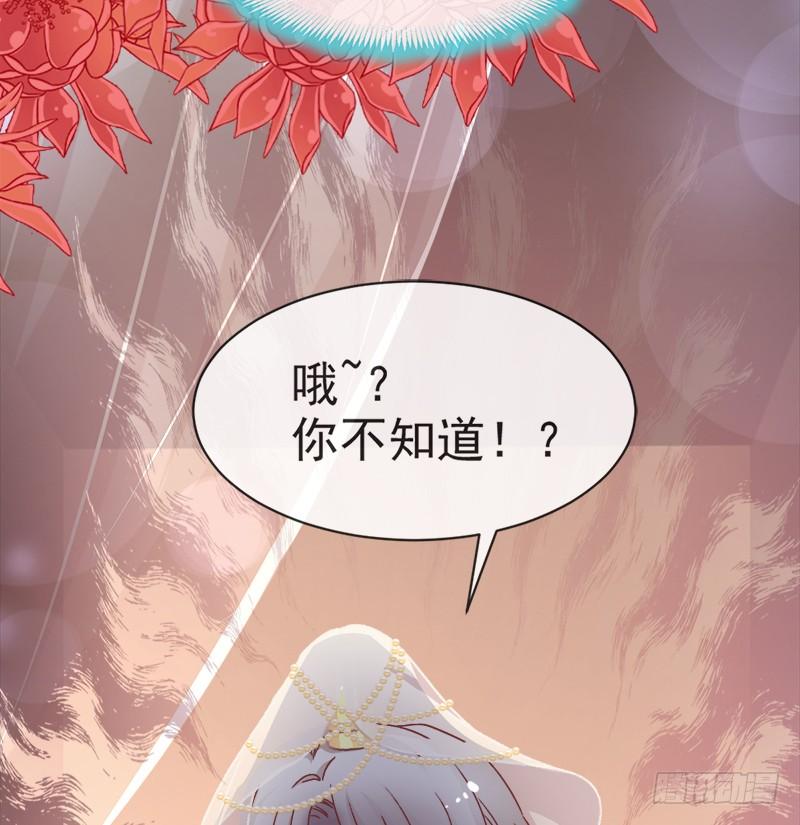《天下第一宠》48 他不是子轩 第46页