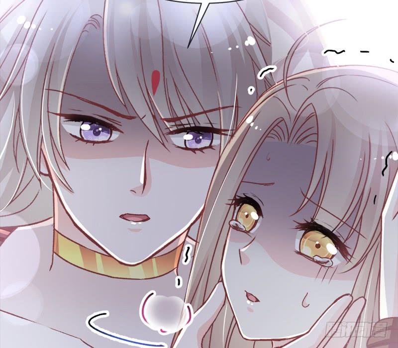 《天下第一宠》48 他不是子轩 第38页