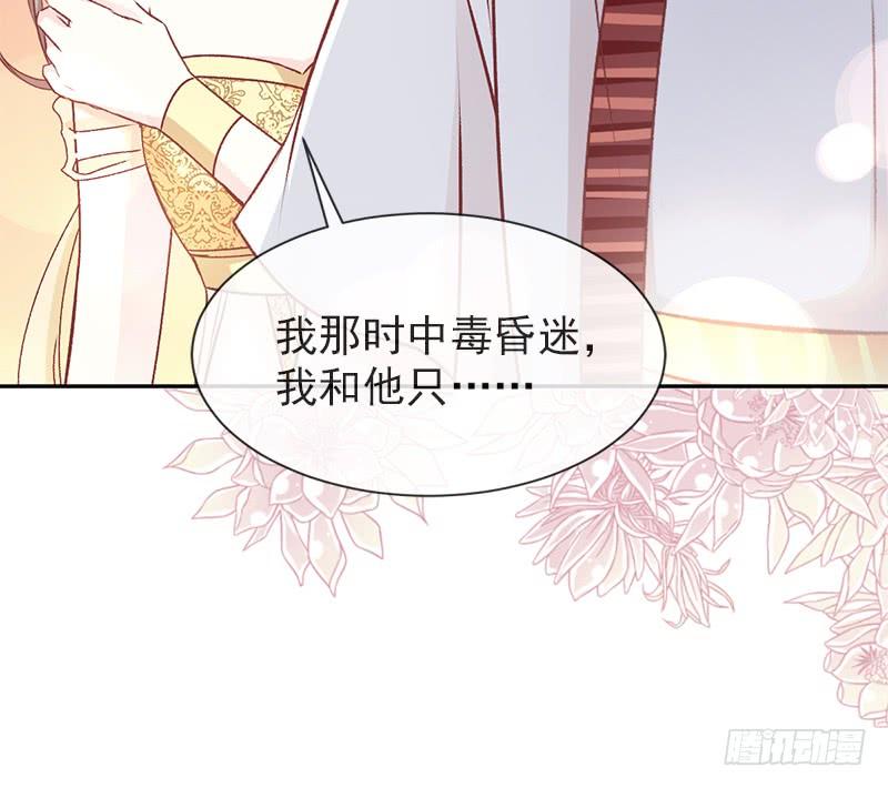 《天下第一宠》48 他不是子轩 第18页
