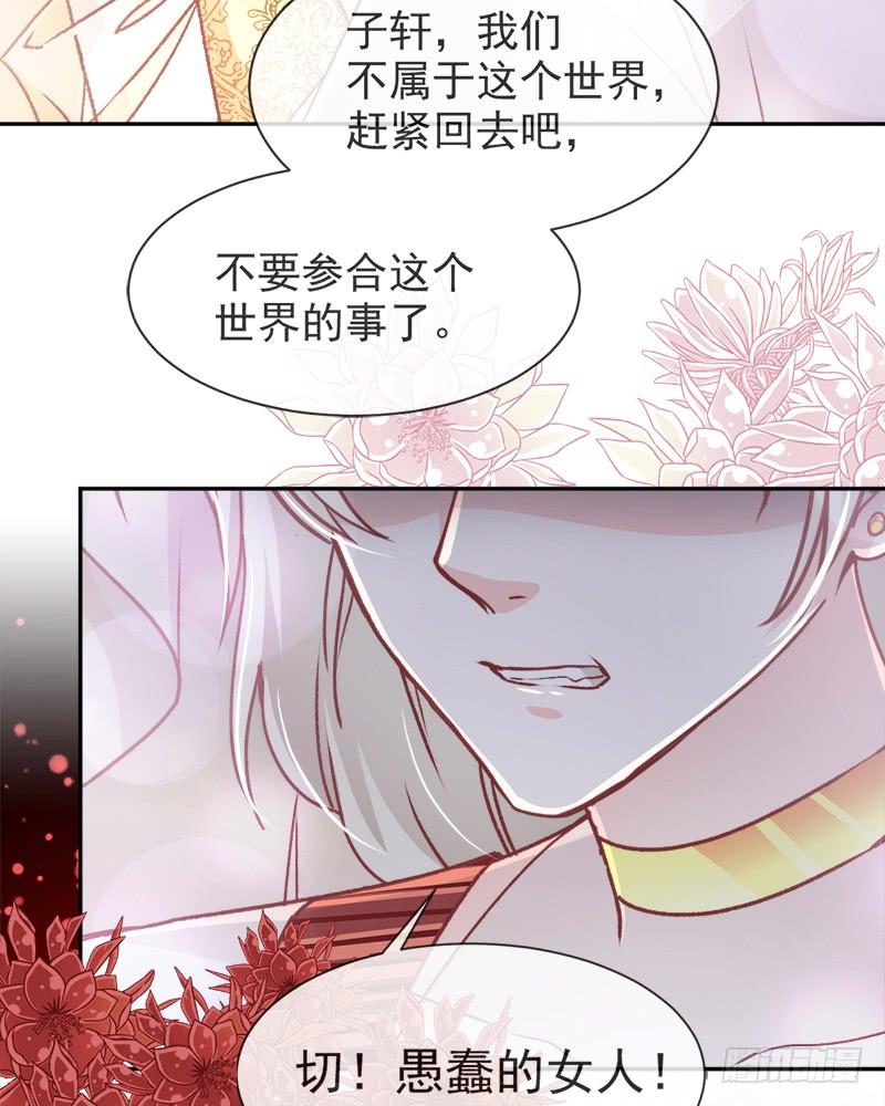 《天下第一宠》48 他不是子轩 第30页