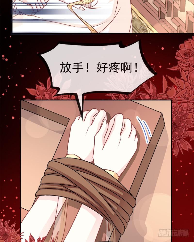 《天下第一宠》48 他不是子轩 第35页