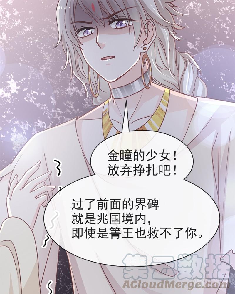 《天下第一宠》49 要兆国付出代价 第31页