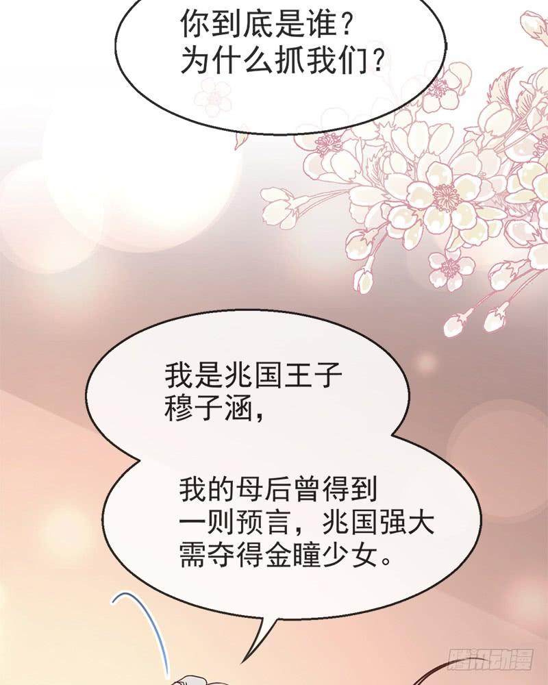 《天下第一宠》49 要兆国付出代价 第14页