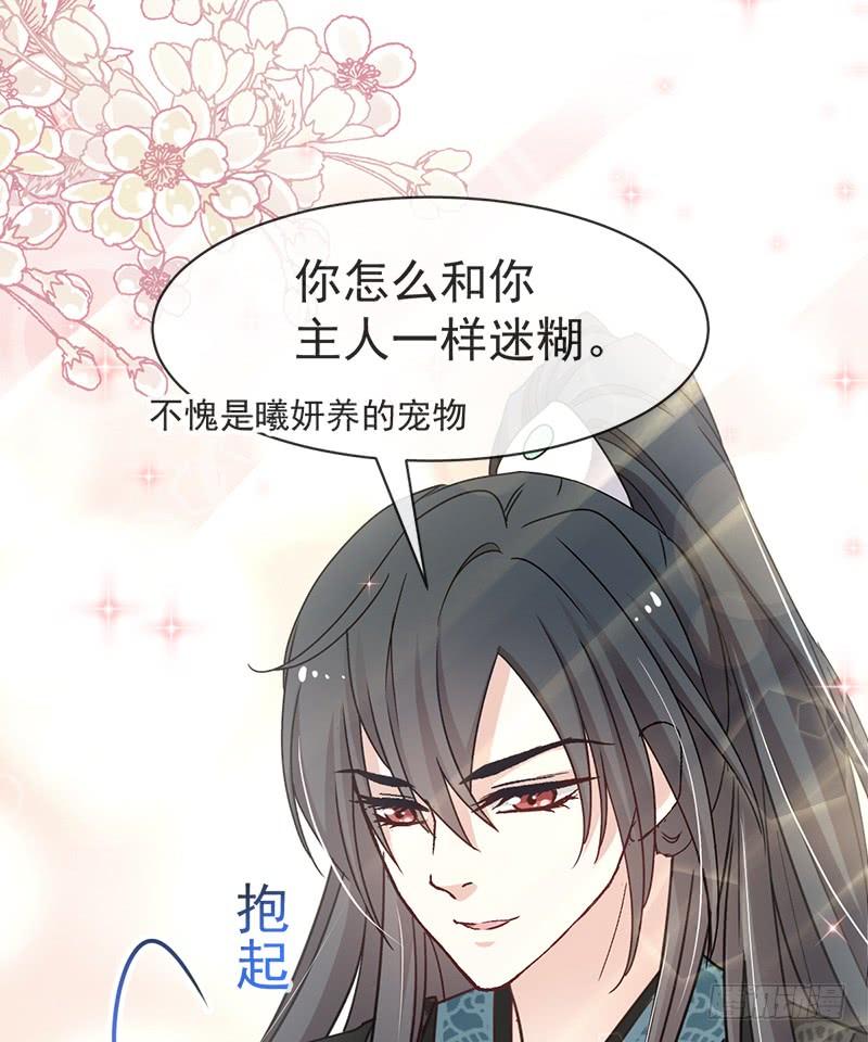 《天下第一宠》49 要兆国付出代价 第59页