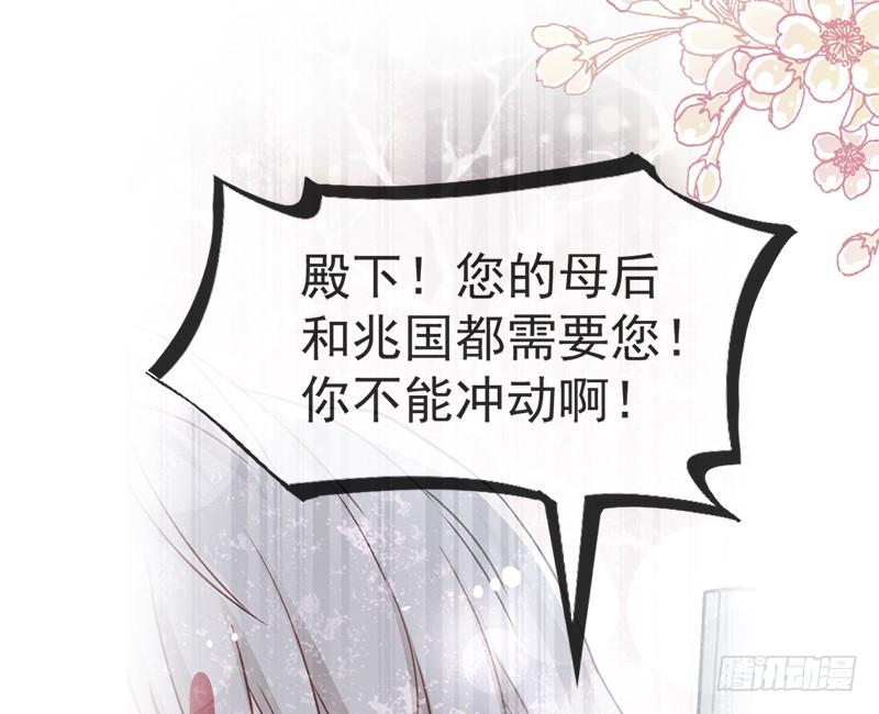 《天下第一宠》49 要兆国付出代价 第38页