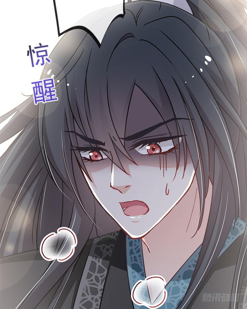 《天下第一宠》49 要兆国付出代价 第48页