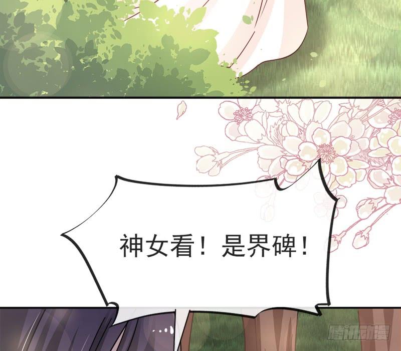 《天下第一宠》51 不能把她让给箐王 第25页
