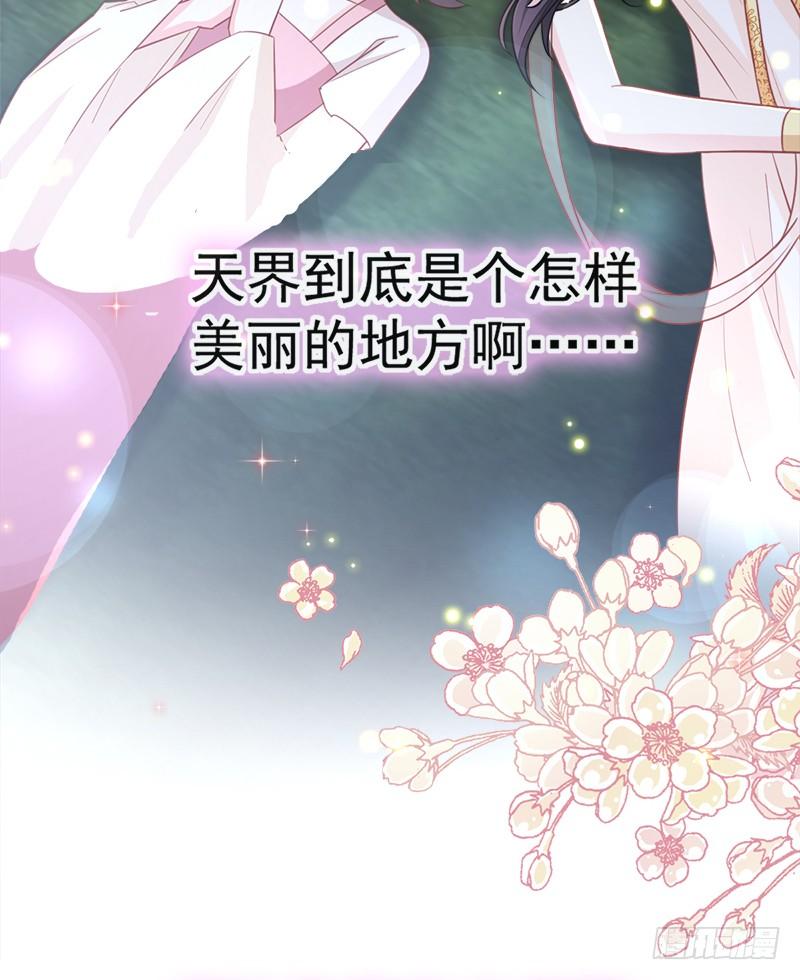 《天下第一宠》52 玉儿的选择 第63页