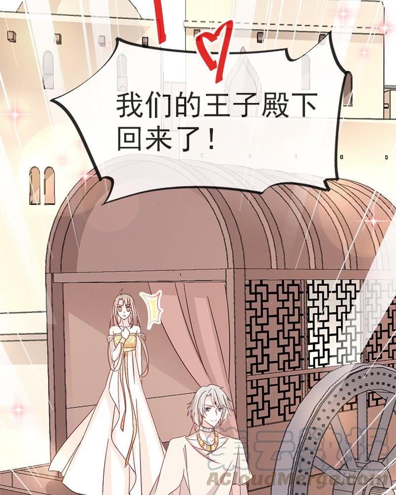 《天下第一宠》54 来到兆国 第61页