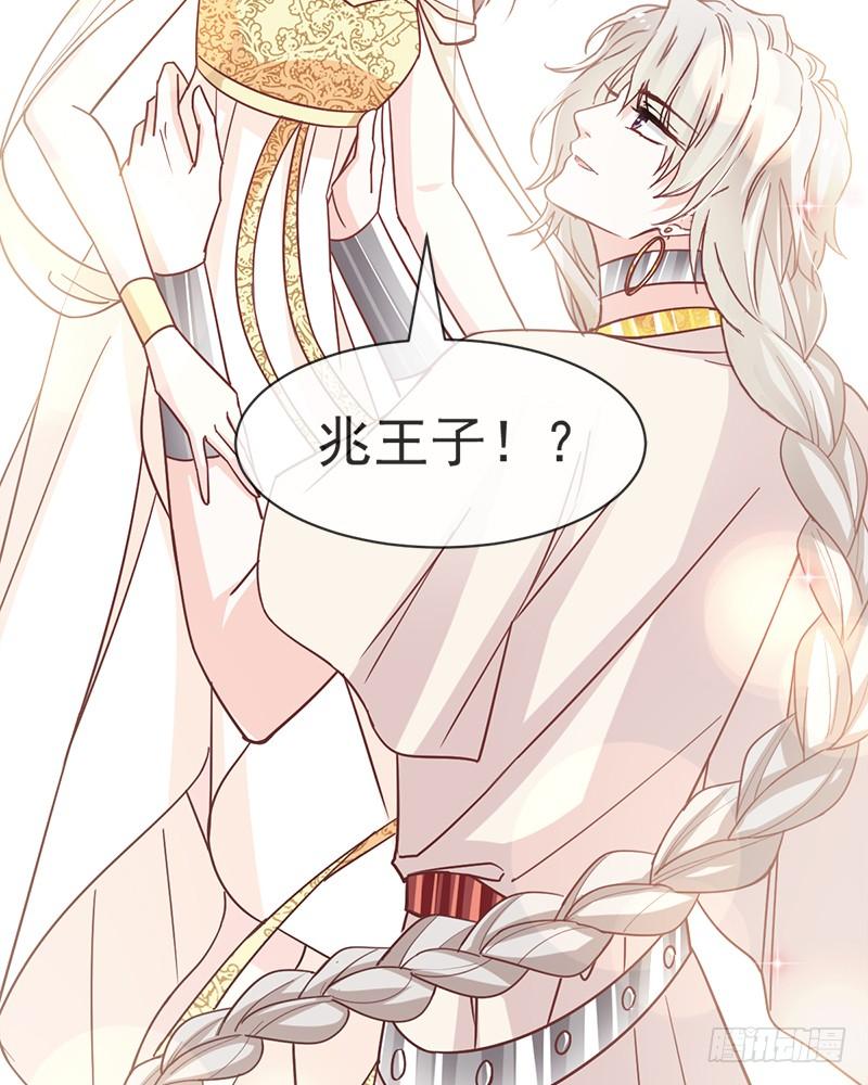 《天下第一宠》54 来到兆国 第67页