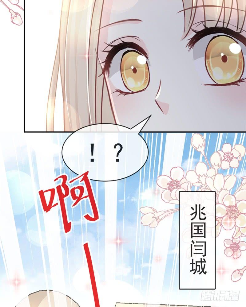 《天下第一宠》54 来到兆国 第60页