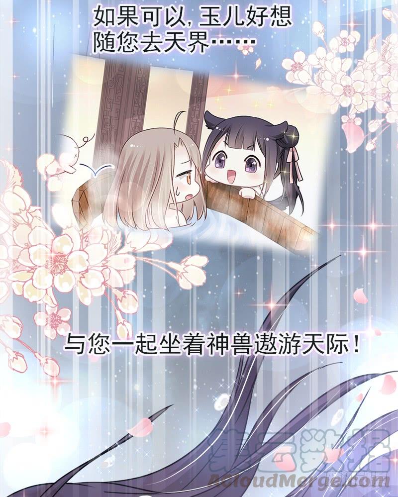 《天下第一宠》54 来到兆国 第31页