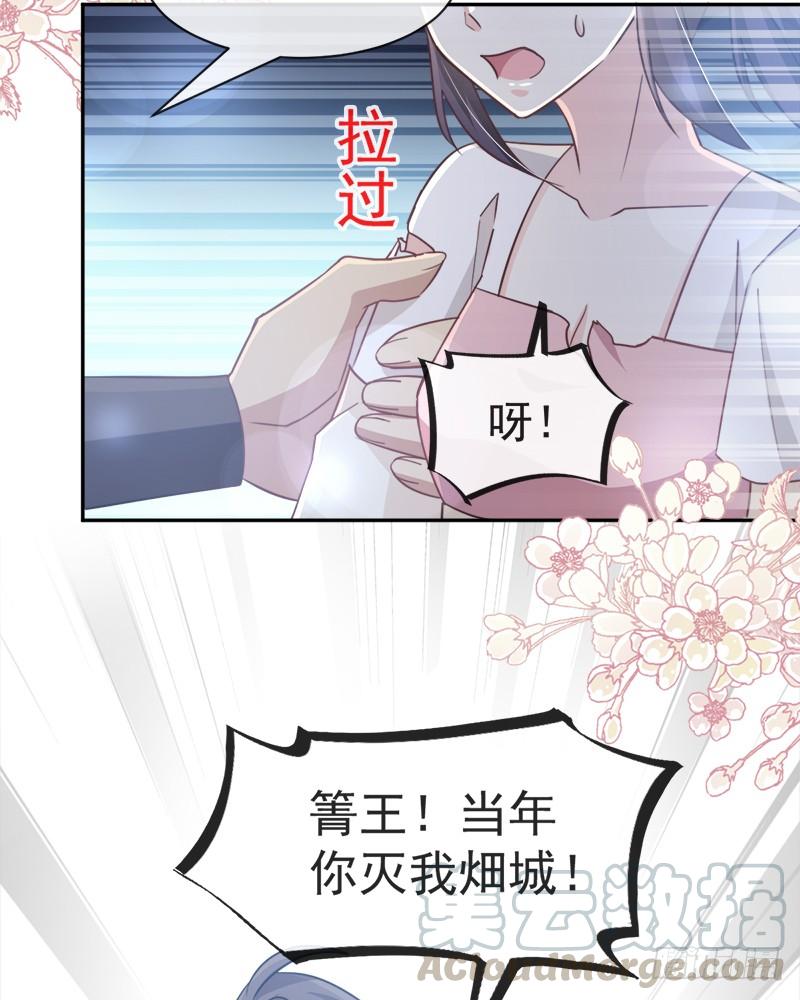 《天下第一宠》54 来到兆国 第11页