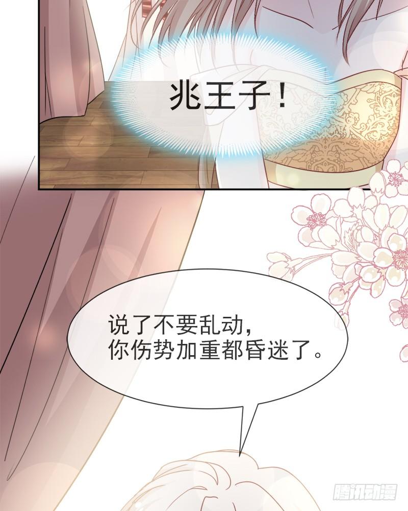 《天下第一宠》54 来到兆国 第52页