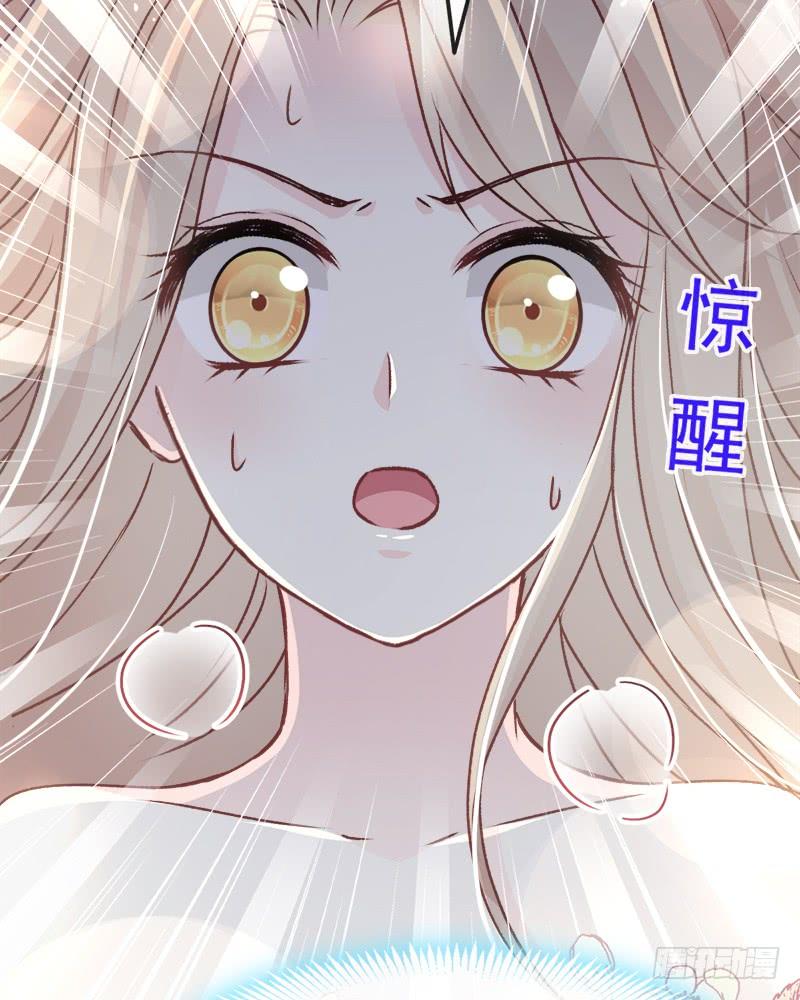 《天下第一宠》54 来到兆国 第47页