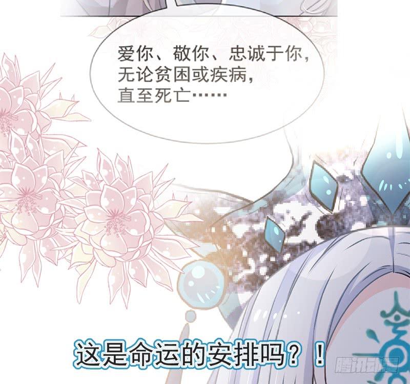 《天下第一宠》55 梦中的世界 第28页