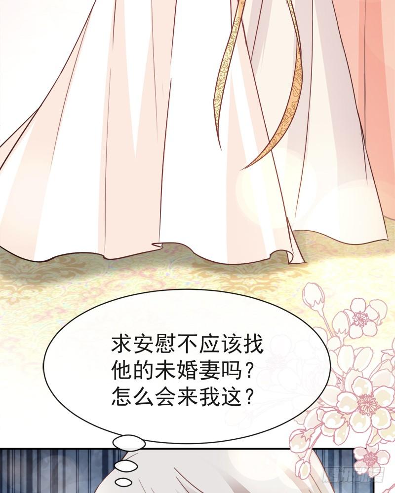 《天下第一宠》56 疯狂的兆王子 第27页