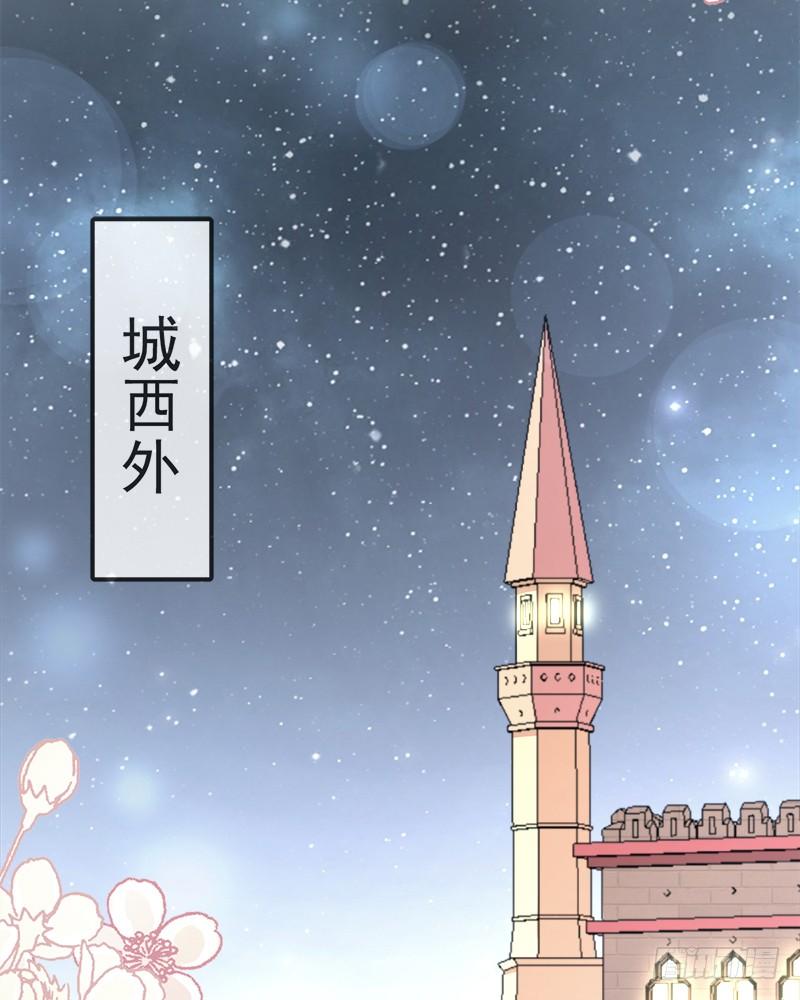 《天下第一宠》60 马背上的疯狂 第24页