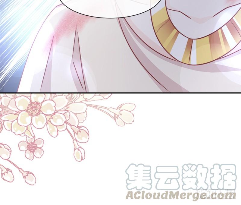 《天下第一宠》61 我是子轩 第11页