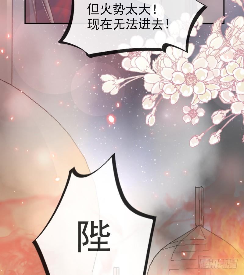 《天下第一宠》61 我是子轩 第66页