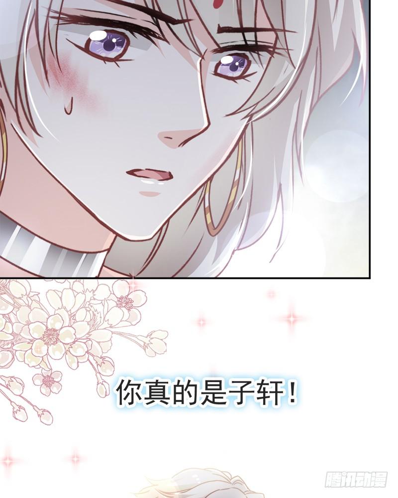 《天下第一宠》61 我是子轩 第47页