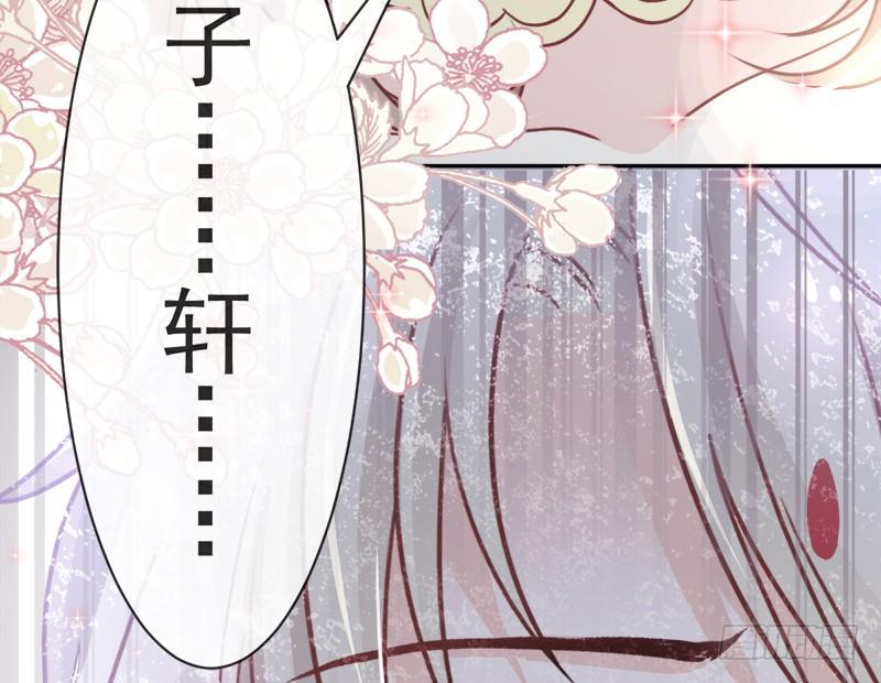 《天下第一宠》61 我是子轩 第50页