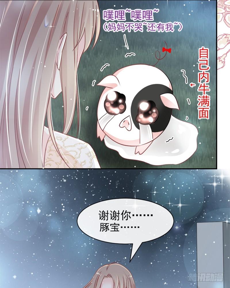 《天下第一宠》63 不会再离开你 第37页