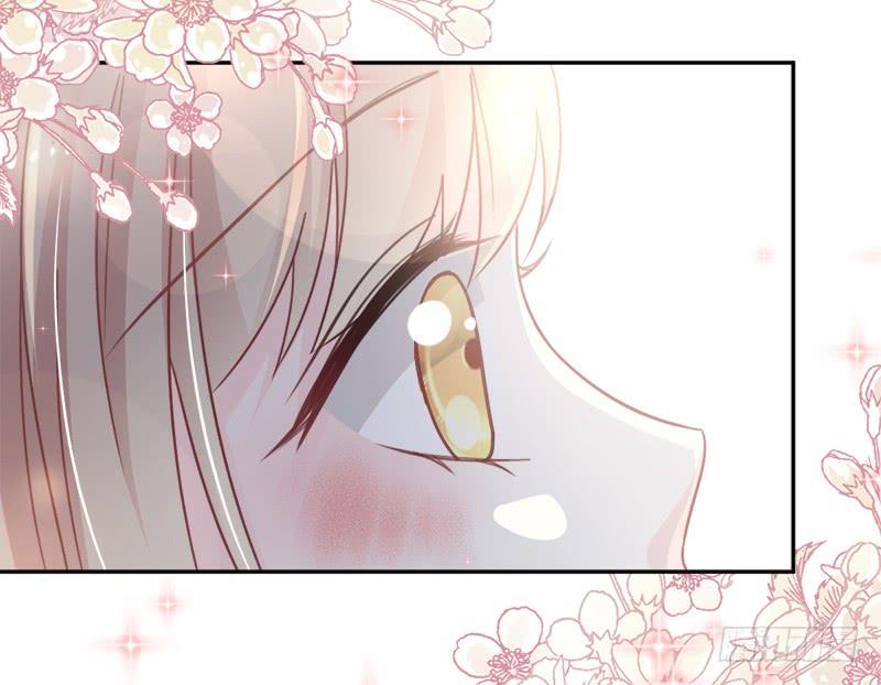 《天下第一宠》63 不会再离开你 第12页