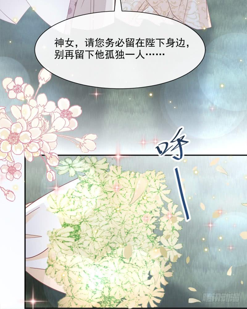 《天下第一宠》64 再见了21世纪 第13页
