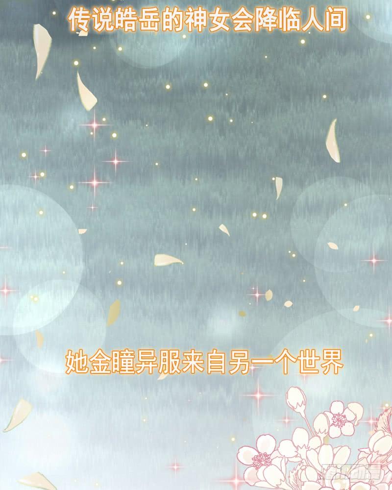 《天下第一宠》64 再见了21世纪 第25页