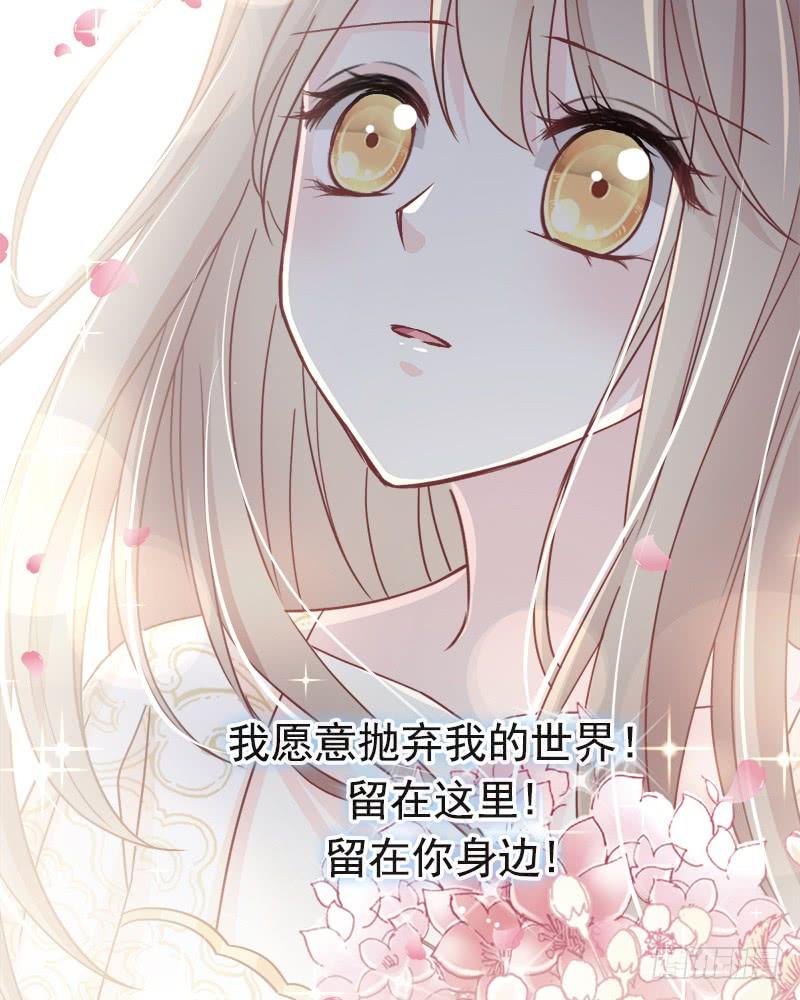 《天下第一宠》64 再见了21世纪 第48页