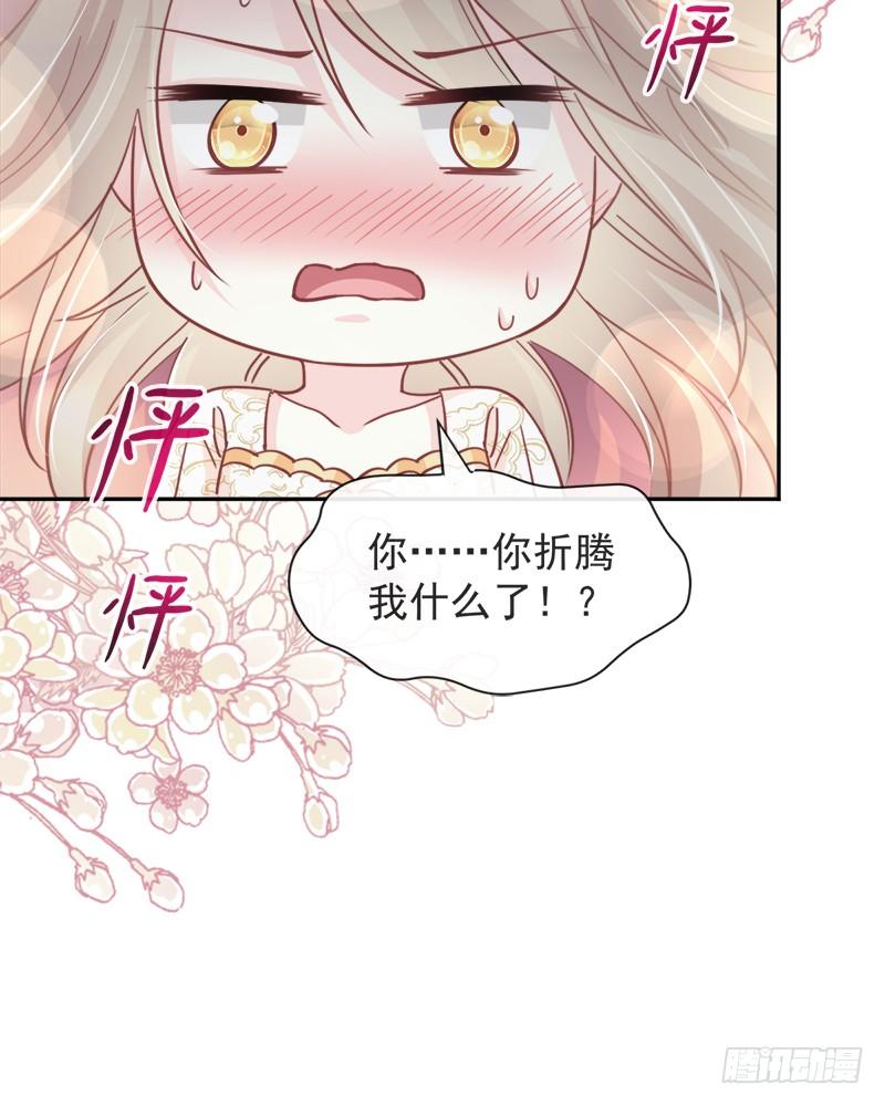 《天下第一宠》65 夜袭箐王 第42页