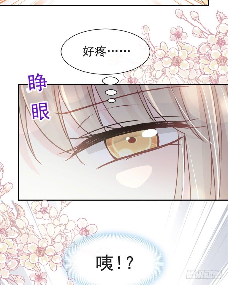 《天下第一宠》65 夜袭箐王 第17页